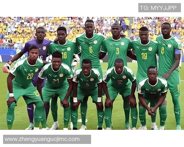 埃及与比利时精彩对决视频回顾及赛后分析分享